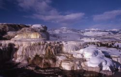 Minerva Springs & Terrace - Mammoth Hot Springs Image