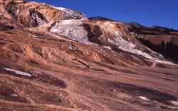Naiad Spring - Mammoth Hot Springs Image