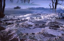 Main Terrace - Trail Spring - Mammoth Hot Springs Image