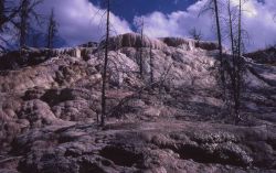 New Highland Spring - Mammoth Hot Springs Image
