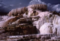 Minerva Terrace - Mammoth Hot Springs Image