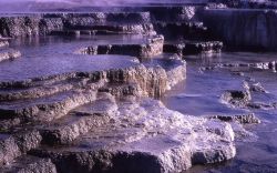 Opal Terrace - Mammoth Hot Springs Image