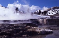 Opal Terrace - Mammoth Hot Springs Image