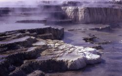 Opal Terrace - Mammoth Hot Springs Image