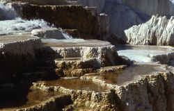 Minerva Terrace - Mammoth Hot Springs Image