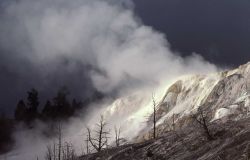 Main Terrace - Mammoth Hot Springs Image