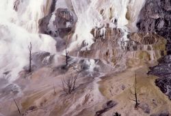 Main Terrace - Mammoth Hot Springs Image