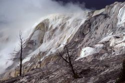 Main Terrace - Mammoth Hot Springs Image