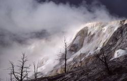 Main Terrace - Mammoth Hot Springs Image