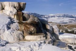 Minerva Terrace in the winter - Mammoth Hot Springs Image