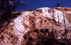 Highland Hot Spring - Mammoth Hot Springs Image