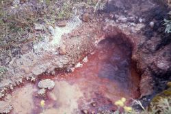 Red Sand Spring - Rabbit Creek - Hot Springs, Midway & Lower Geyser Basin Image