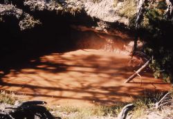 Red Pool - Rabbit Creek - Hot Springs, Midway & Lower Geyser Basin Image