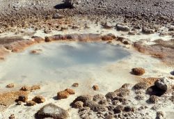 Unnamed hot spring near Lava Pool - Hot Springs, Norris Geyser Basin Image