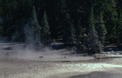 Yellow Mud Spring - Hot Springs, Norris Geyser Basin Image