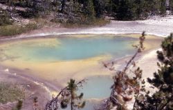 Recess Spring - Hot Springs, Norris Geyser Basin Image