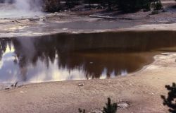 Yellow Mud Pool - Hot Springs, Norris Geyser Basin Image
