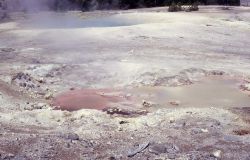 Locomotive Springs with Congress Pool in background - Hot Springs, Norris Geyser Basin Image