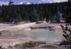 Root Spring - Hot Springs, Norris Geyser Basin Image