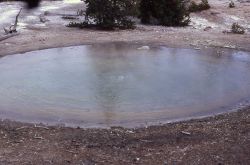 Yellow Funnel Spring - Hot Springs, Norris Geyser Basin Image