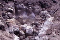 Rock Spring - Hot Springs, Norris Geyser Basin Image