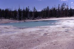 Receptacle Spring - Hot Springs, Norris Geyser Basin Image