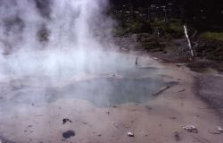 Root Pool - Hot Springs, Norris Geyser Basin Image