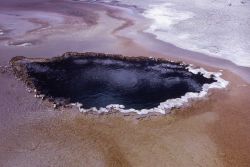 Unknown or unidentified hot spring in Shoshone Lake Geyser Basin Image