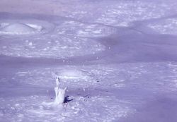 Close up of mud at Fountain Paint Pot - Mud Pots, Midway & Lower Geyser Basin Image