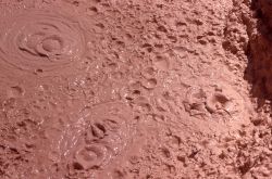 Rabbit Creek Mud Pots - Midway & Lower Geyser Basin Image