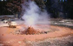 Red Spouter in Fountain Paint Pot - Mud Pots, Midway & Lower Geyser Basin Image