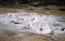 Close up of mud pots splattering - Midway & Lower Geyser Basin Image