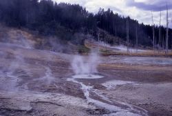 Lewis Mud Pot - Norris Geyser Basin Image
