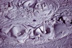 Close up of a Mud Pot - Unknown area Image