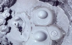 Close up of a Mud Pot - Unknown area Image