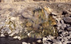 LaDuke Hot Spring - north of Gardiner, MT - large formation on Yellowstone River Image