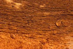 Grand Prismatic Spring Image