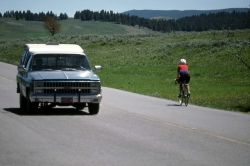 Cyclist in Hayden Valley Image