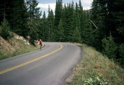 Cyclist near Dunraven Pass Image