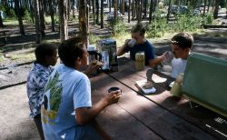 Children eating at picnic table in Grant Village campground Image