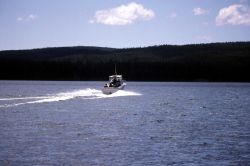 Fishing guide boat, The Grady White, on Yellowstone Lake during a Yellowstone Association birding class Photo