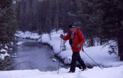 Cross country skier on Lone Star trail along the Firehole River in the winter Image