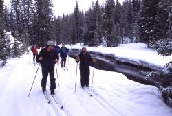 Cross country skiers on Lone Star trail along the Firehole River in the winter Image