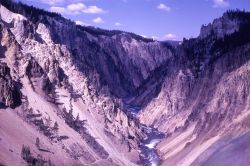 Grand Canyon of Yellowstone & the Yellowstone River Image