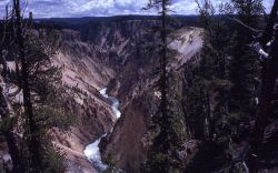 Grand Canyon of Yellowstone & the Yellowstone River Image