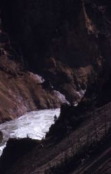 Grand Canyon of Yellowstone & the Yellowstone River Image