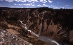 Grand Canyon of Yellowstone & the Yellowstone River Image