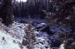Lamar River Canyon Image