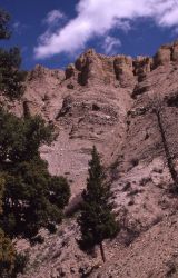 Gardner River Canyon Image