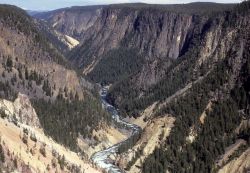 Grand Canyon of Yellowstone & the Yellowstone River Image